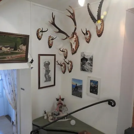 Zur Stilli Dorf 宾馆 *