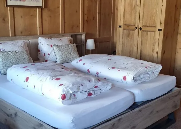 Zur Stilli Dorf 达沃斯